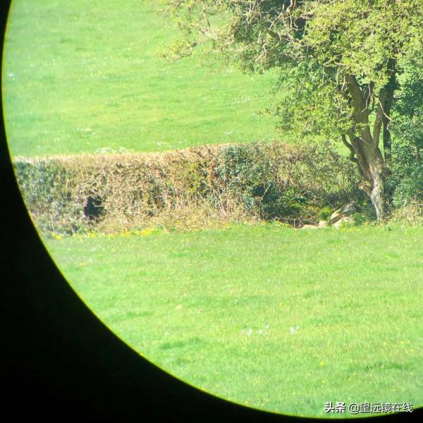 蔡司征服10x32 HD評測 蔡司征服10x32 HD評測