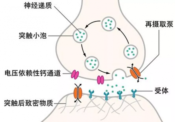 光纖記錄詳解，一文帶你詳細瞭解光纖記錄實驗