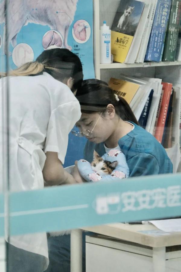 當代青年社交新本領:記住同事的寵物名 當代青年社交新本領:記住同事的寵物名