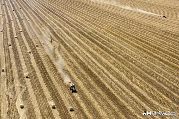 新疆連隊土地經營權是咋流轉的，外面人是否也可獲得流轉的土地？