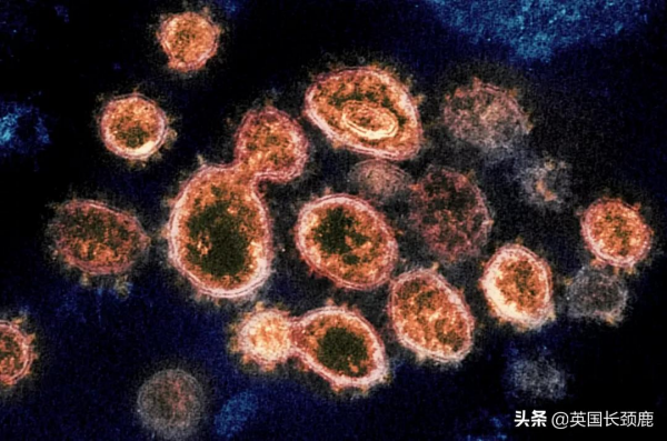 英國下週起推廣新冠特效藥！新冠康復後，多久還會再感染？