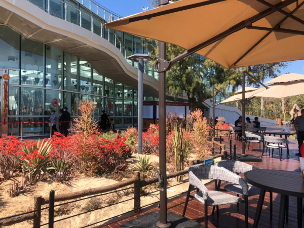 學會搭配這8種園藝植物，讓你的花園收穫一個有趣的靈魂