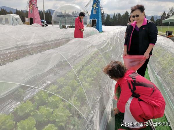 花米共享農場以花為媒引遊客 多業態創新經營啟用鄉村振興