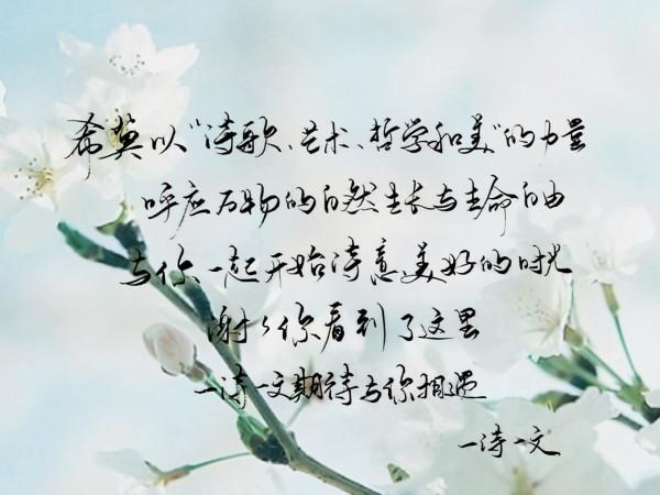 自由與愛,死性不改 自由與愛,死性不改