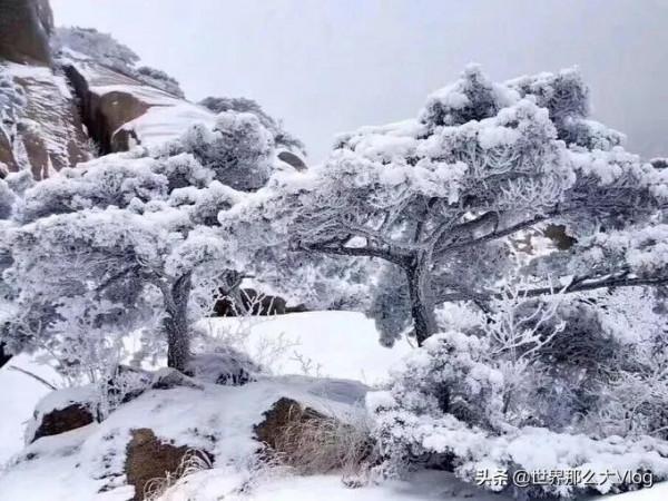 行者無疆，我們一直在路上