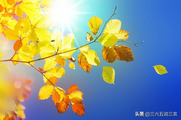 天氣預報：明日臘月初一，太陽晴天有啥說法？看老祖宗的農諺咋說