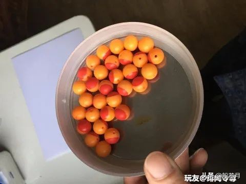 寶友，你看我撿的這顆綠松石，怎！麼！樣