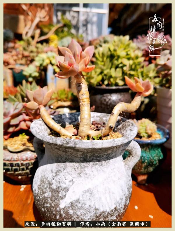 用一份熱愛，溫暖一段時光