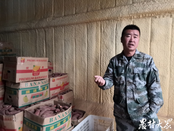 400多萬斤地瓜不愁銷，他們抱團有訣竅