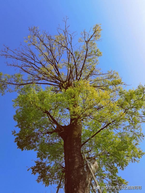 五百灘公園，每週一個公園，今天走進五百灘公園