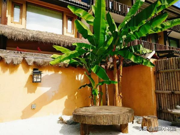 70後文藝大叔，用6年建400㎡院子，每天喝茶做飯，瀟灑生活