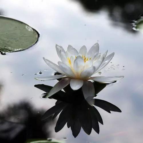 民間故事：媳婦恃寵揮霍無度，死後連累父親和公公雙雙殞命