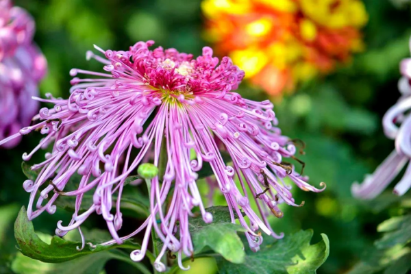 太美了！10個絕美的旅遊天堂，人少景美，你也應該在場啊