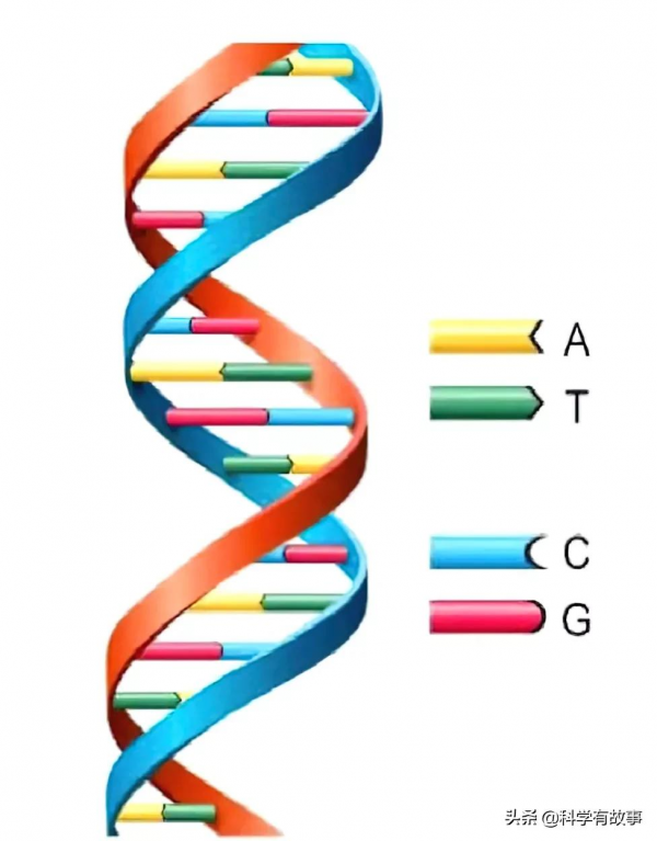 宮頸癌疫苗該不該打？瞭解這段歷史很重要