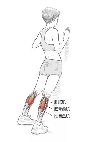 預防膝蓋損傷訓練動作,不僅加強平衡力,而且還可增強肌肉力 預防膝蓋損傷訓練動作,不僅加強平衡力,而且還可增強肌肉力