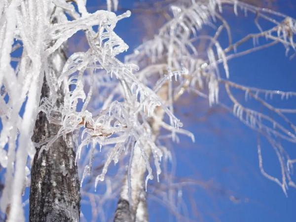 虎山邀您賞最美雪景