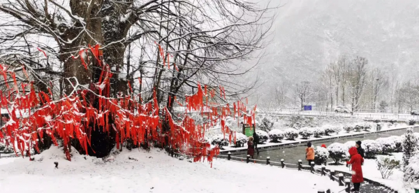 留壩：雪花紛飛迎新春 銀裝素裹靚山城