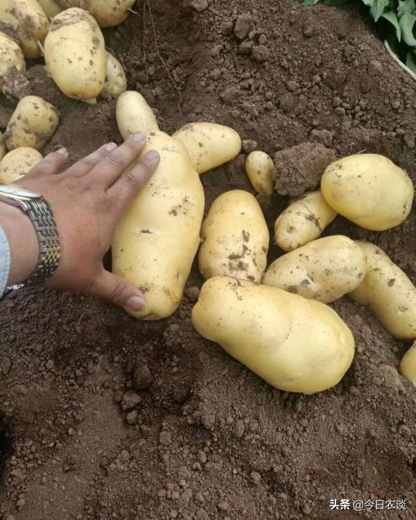 這就是作物需肥規律，讀懂它就知道如何科學施肥了