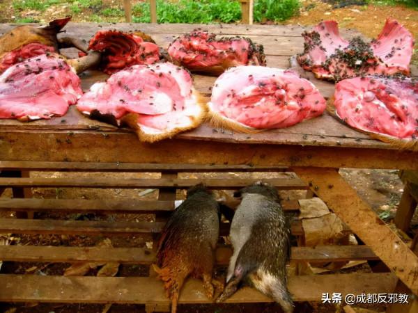 中國小夥逛非洲菜市場的真實感受:食物種類齊全、料理無奇不有 中國小夥逛非洲菜市場的真實感受:食物種類齊全、料理無奇不有