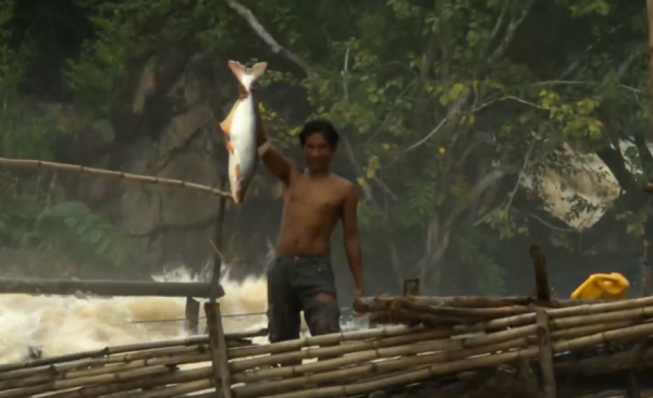 湄公河最瘋狂的捕魚人，極端洪水嚇得你冒冷汗，他們卻在水中玩命