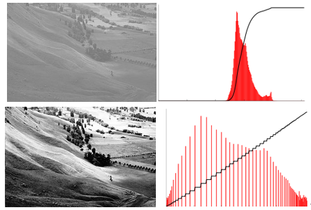 點選此文，我們教你如何高分透過忍者考試