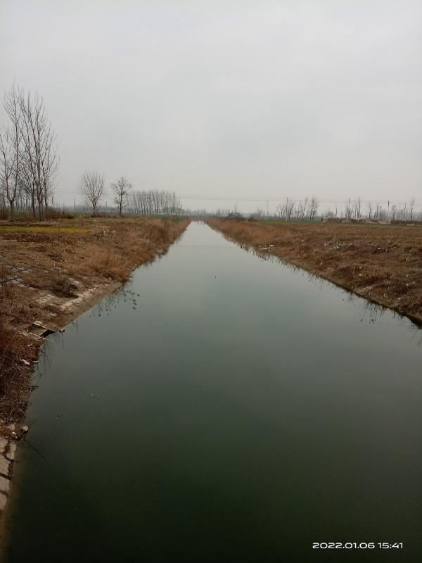 紅蟲做餌果然有奇效，鱅魚也來捧場