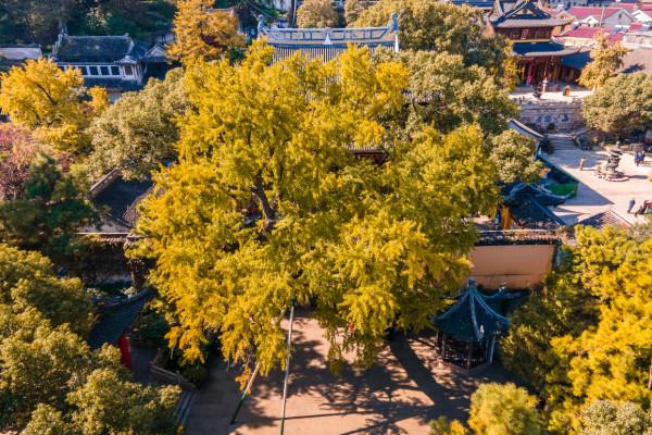 秋遊無錫惠山古鎮，邂逅“江南最美秋色”，你準備好去賞秋了嗎？