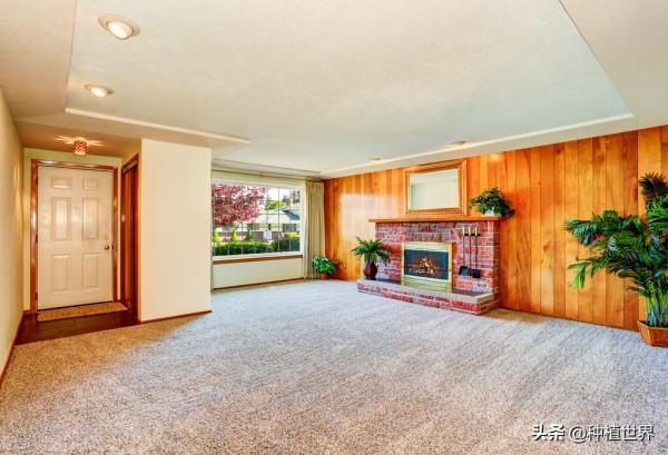 為什麼經常有人去農村收碎木？碎木值錢嗎，能做什麼呢？