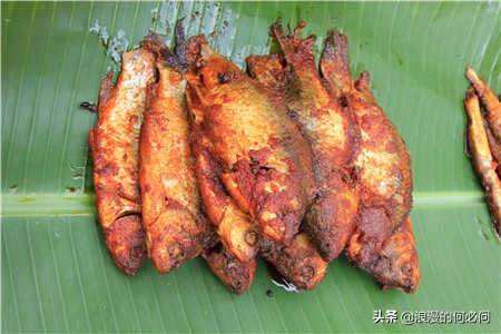 雲南的魚類美味,有些快要成為記憶了,希望我們的後代還能吃得到 雲南的魚類美味,有些快要成為記憶了,希望我們的後代還能吃得到