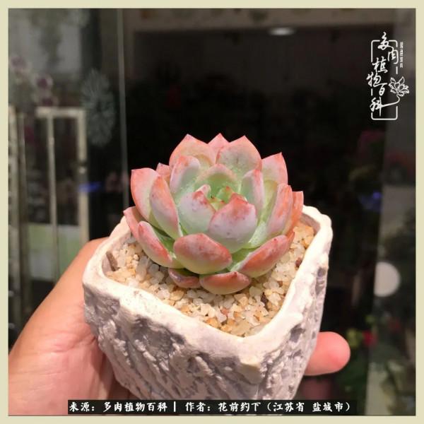 你儘管善良,福報都在路上 你儘管善良,福報都在路上