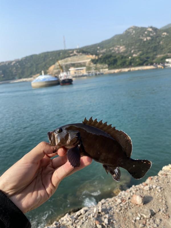 來一場說走就走的垂釣之旅，成功解鎖新魚種