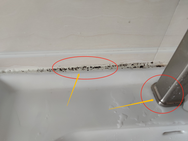 廣州發現一戶人家，衛生間那叫一個高階！拍照給大家瞧瞧，太舒適