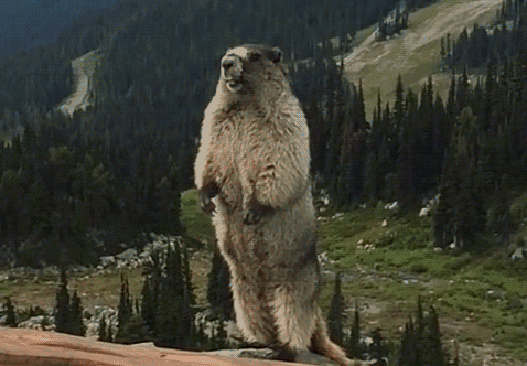 廣東人的福音：減肥時可以吃腸粉啦，但是要注意方法