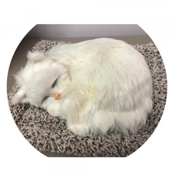 突然，好想回老家