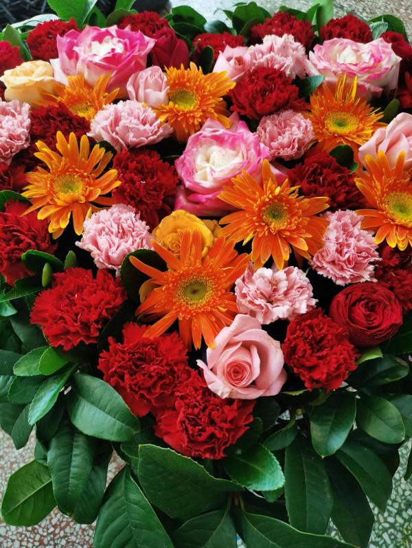 老一輩人常說:下巴尖,福氣薄 老一輩人常說:下巴尖,福氣薄