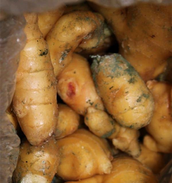 生活中,這些東西不能吃,有劇毒 生活中,這些東西不能吃,有劇毒