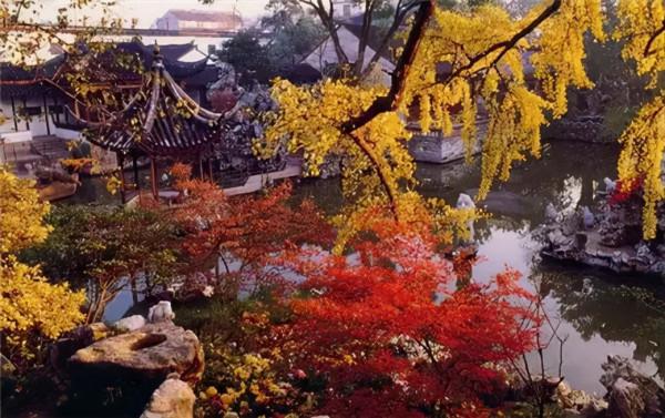 千萬別與秋天的姑蘇比美!楓葉漫山,銀杏紛飛,一步一景美成了詩 千萬別與秋天的姑蘇比美!楓葉漫山,銀杏紛飛,一步一景美成了詩