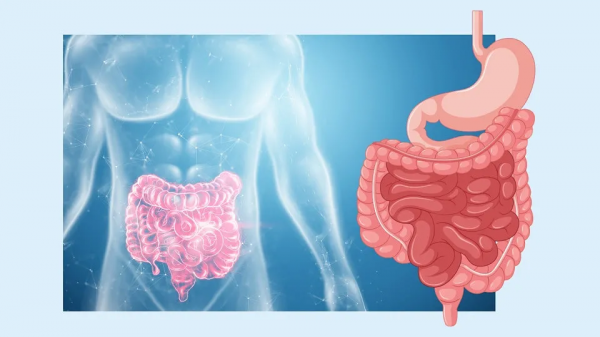 便秘？或許是胃腸功能紊亂！學會這幾招讓你自由&OpenCurlyDoubleQuote;飛翔&rdquo;