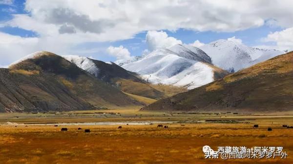 秋意濃,易遠行 秋意濃,易遠行