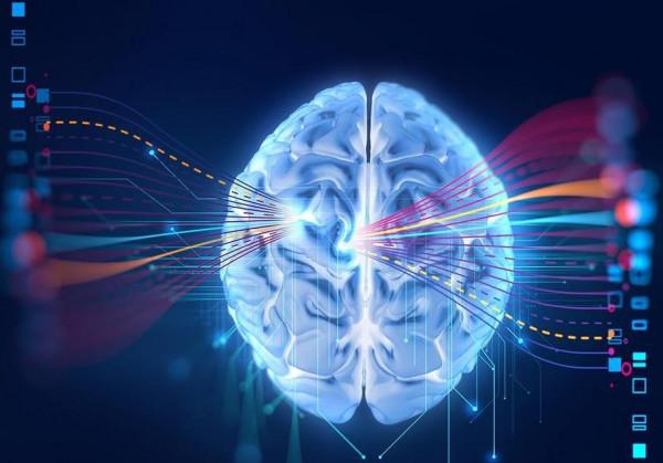 經常健忘，是老年痴呆的徵兆？1箇中醫方，補氣血，改善健忘