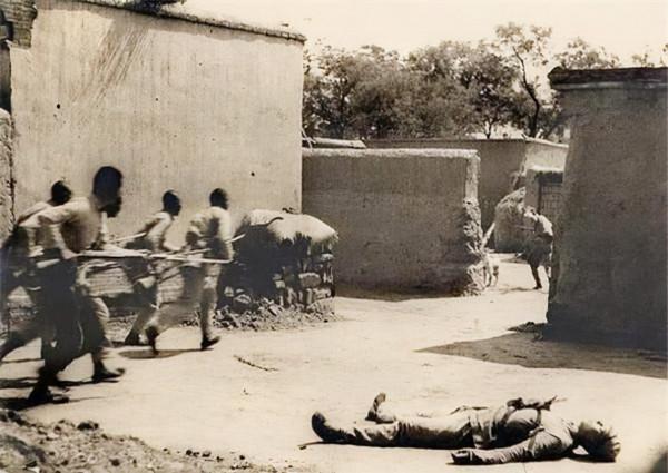 軍史上極為罕見的戰例：我軍用上千條狗擺出怪陣，敵軍不戰而降