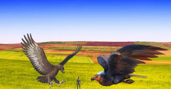 千年前的天空霸主哈斯特鷹，與如今的安第斯神鷹，誰更厲害？