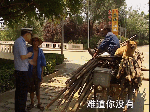 “24歲癱瘓，我收養了一隻差點死掉的貓”