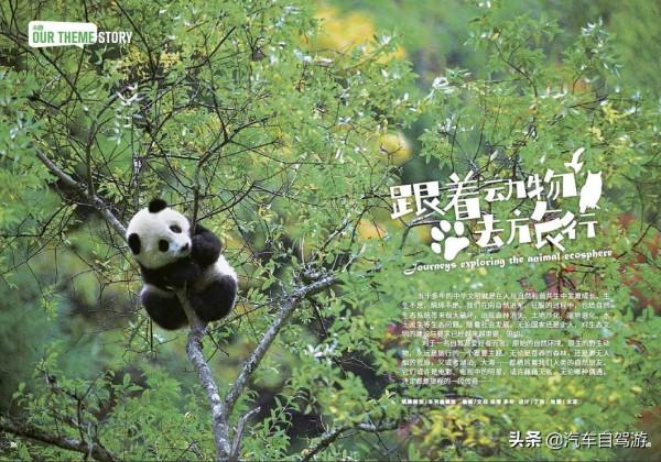 這8處金秋自駕遊線路,總有一款適合你(附線路地圖) 這8處金秋自駕遊線路,總有一款適合你(附線路地圖)