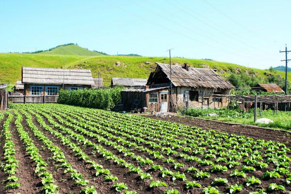 (四百九十三)暑假 (四百九十三)暑假