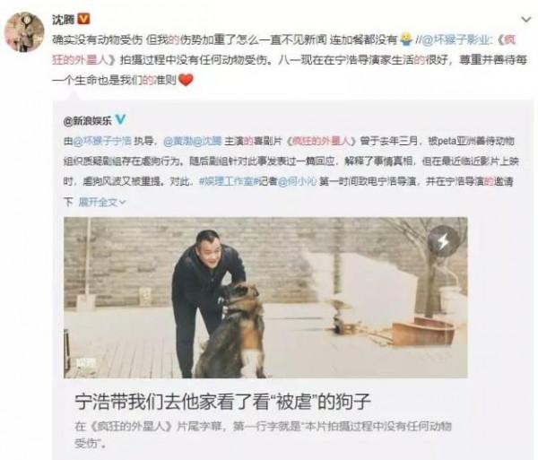 《當家主母》“喵咪事件”愈演愈烈,還有更殘忍的,都停止吧 《當家主母》“喵咪事件”愈演愈烈,還有更殘忍的,都停止吧