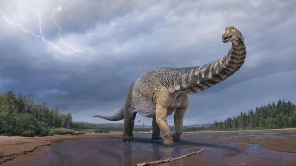 只靠前腿前進的動物?還是巨型恐龍!科學家的理論可靠嗎? 只靠前腿前進的動物?還是巨型恐龍!科學家的理論可靠嗎?