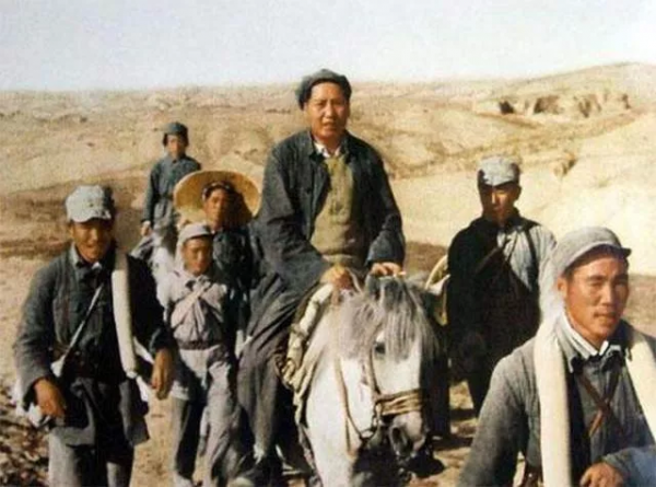 土豆，在毛主席生活中的點點滴滴