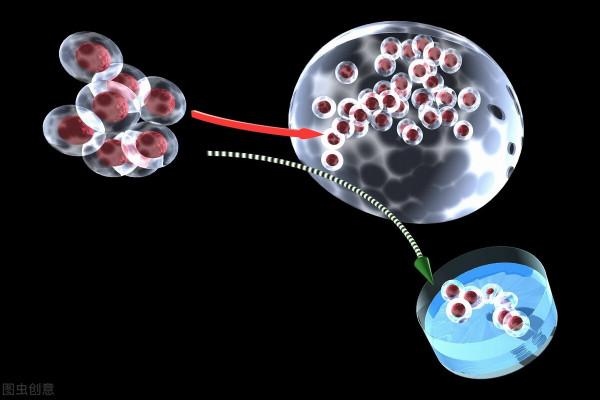 日本還有六大領先的技術 日本還有六大領先的技術