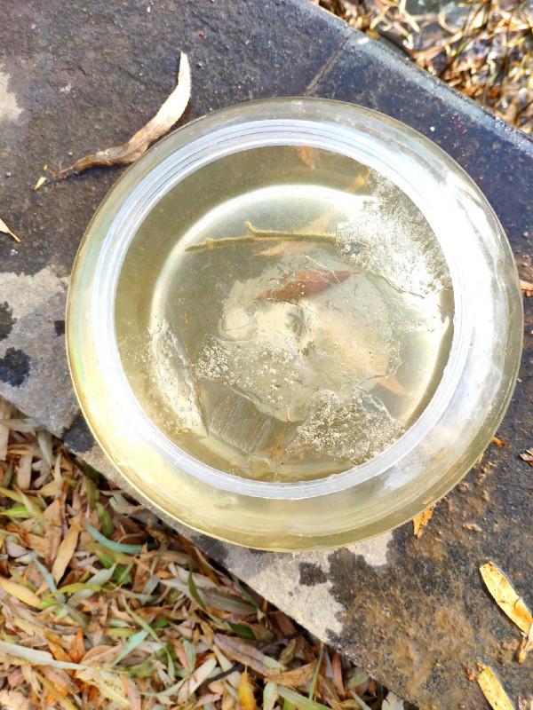 氣溫零下破冰垂釣,雙尾收杆漁獲爆盆 氣溫零下破冰垂釣,雙尾收杆漁獲爆盆